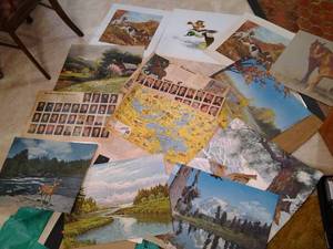 Vintage Nature Prints, Maps, and More&nbsp