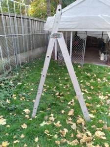 Unique Painters Ladder  Extension Ladder Combo&nbsp
