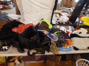 Lot of Purses and Accessories