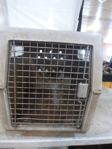 Pet Carrier