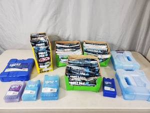 lot 244 image: Large Assortment of New Ice Packs