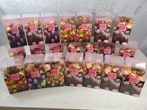 lot 1A image: 21 New Boxes of Tulip Bulbs