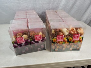 lot 1B image: 20 New Boxes of Tulip Bulbs