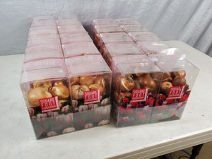 lot 1C image: 20 New Boxes of Tulip Bulbs