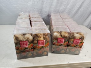 lot 1D image: 20 New Boxes of Daffodil Bulbs