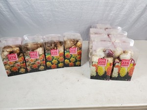 lot 1E image: 11 Boxes of Assorted Bulbs