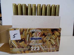 American Ammunition .223