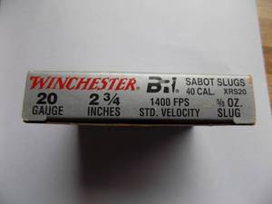 Winchester 20 Gauge Slugs