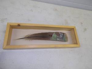 lot 81 image: Hand Painted Feather in Case by Nicole Weller