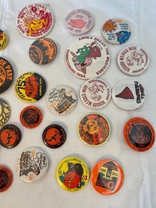 lot 401 image: Anoka High School and Halloween Pins