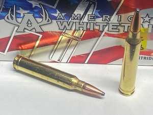 lot 2-A image: (20) Rounds Of Hornady American Whi...