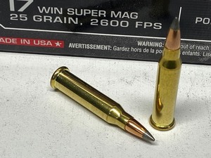 lot 16-E image: (50) Rounds Of Winchester Varmint H...