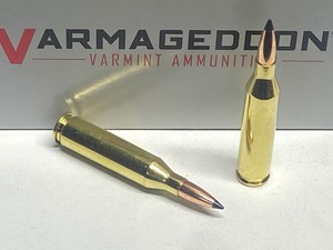 lot 1-C image: (20) Rounds Of Hornady Varmageddon ...