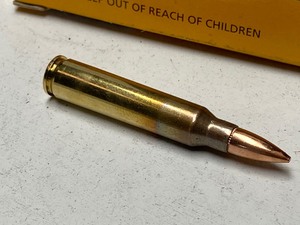 lot 134 image: (20) Rounds Of PMC X-TAC 5.56mm 55g...