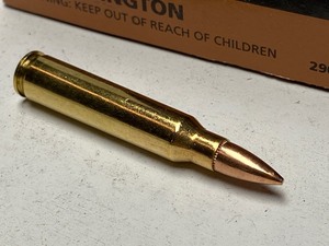 lot 140 image: (20) Rounds Of PMC Bronze .223-Remi...