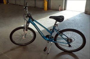 Womens Blue and White Schwinn Sr Su...