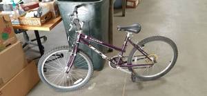 Mens or Womens Metallic Purple Palo...