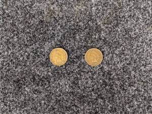 (Lot of 2) Indian Head Pennies 1906 and 1899