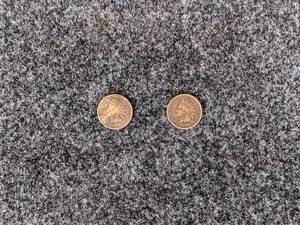 (Lot of 2) Indian Head Pennies 1896 and 1887