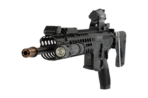 lot 179 image: Sig Sauer .556