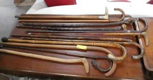 Large lot of canes - variety of bamboo, wood