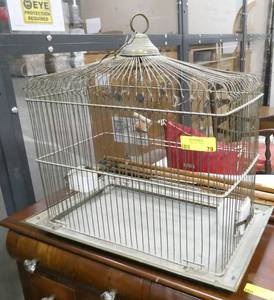 Large bird cage with unique feeders and butterfly holders