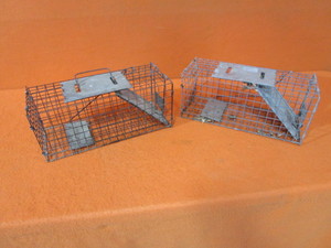 (2) Live Traps