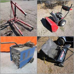Auction Information