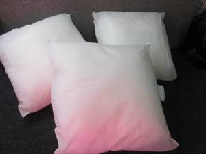 3- 16x16 inch Pillow Forms...