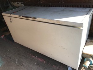 Large Chest Freezer