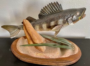 lot 253 image: Fun Fish Mount Decor