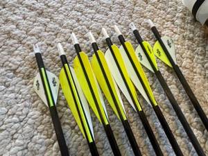 lot 327 image: Arrows With Case