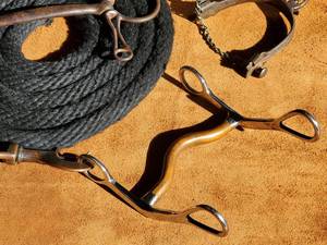 lot 85 image: Horse Lead Rope, Bit & (2) Vintage Western Gear Items