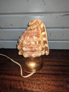 lot 117 image: Conch Shell Night Light