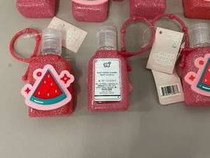Lot of 12 Travel Hand Sanitizers with Carrying Cases
