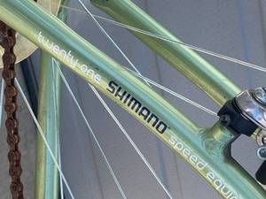 Schwinn Suburbia Bicycle