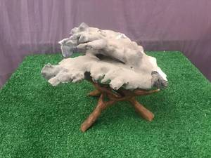 lot 21 image: Natural Sea Coral