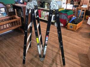 lot 207 image: Adjustable Ladder