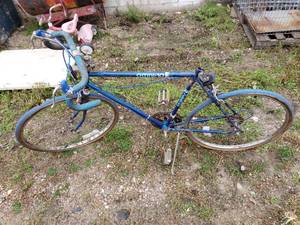 Huffy Omni-10