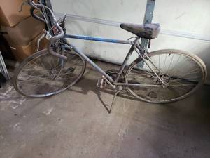 Schwinn Traveler III