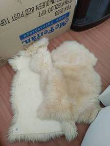 Two High Country Lamb Skin Rugs