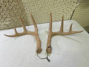 (D-1) Set of Rattling Horns...