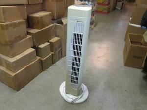 (D-4) Hawaiian Breeze Oscillating T...