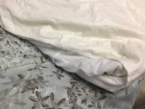 lot 531 image: Calvin Klein Queen Comforter with Pillow Cases and Queen Mattress Cover