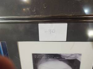 lot 290 image: 2 Picture frames 15x55 circis...