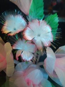 lot 160 image: Light Up Flower Music Box