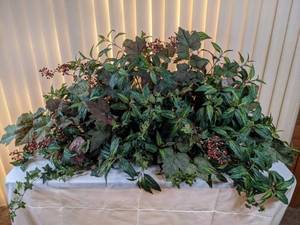 lot 173 image: Large Artificial Plant Display