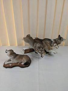 lot 174 image: Lot of (2) Decorative Wolf Figurines