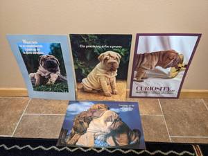 lot 64 image: Lot of (4) Shar-Pei Dog Meme Posters