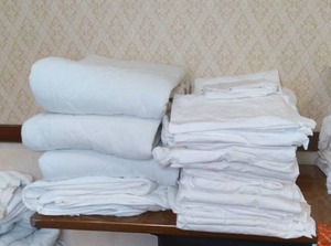 lot 733 image: Collection of White Linens